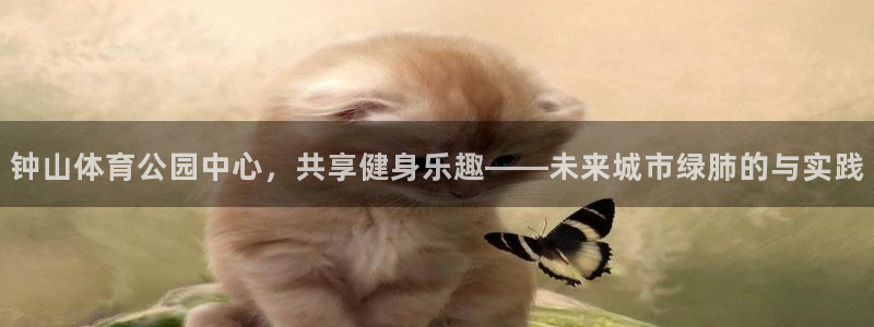 u球体育官网：钟山体育公园中心，共享健身乐趣——未来城市绿肺的与实践