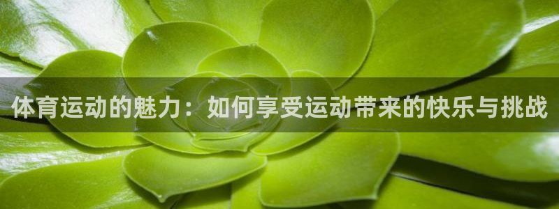 u球体育下载：体育运动的魅力：如何享受运动带来的快乐与挑战