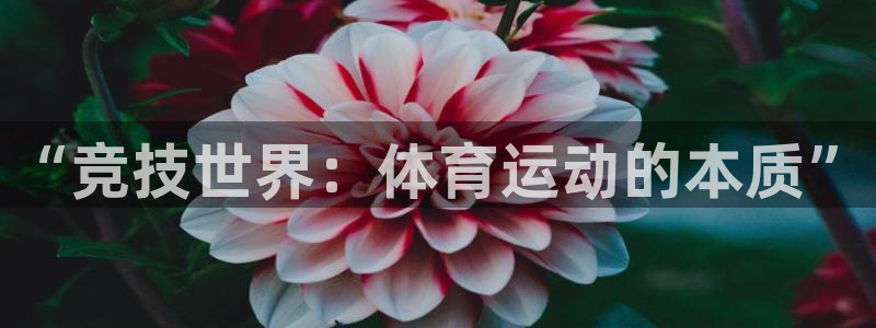 U球体育官网：“竞技世界：体育运动的本质”