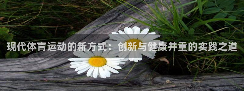 U球体育软件：现代体育运动的新方式：创新与健康并重的实践之道