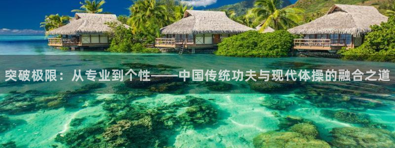 U球体育软件：突破极限：从专业到个性——中国传统功夫与现代体操的融合之道